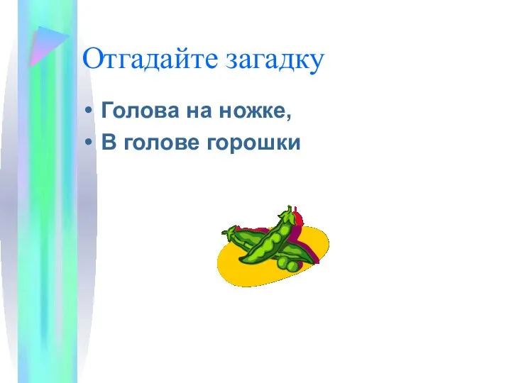 Отгадайте загадку Голова на ножке, В голове горошки