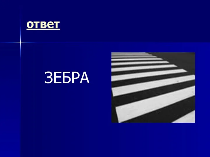 ответ ЗЕБРА