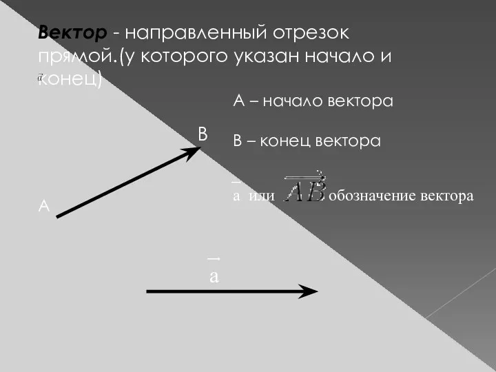 Вектор - направленный отрезок прямой.(у которого указан начало и конец) В А А