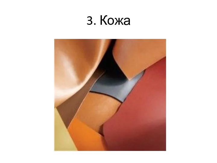 3. Кожа