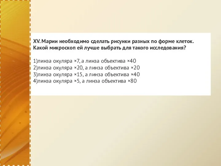 XV. Марии необходимо сделать рисунки разных по форме клеток. Какой