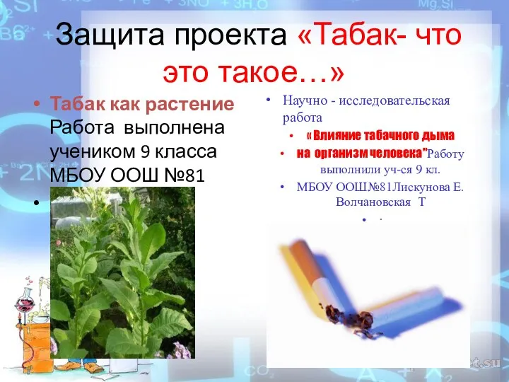 Защита проекта «Табак- что это такое…» Табак как растение Работа выполнена учеником 9