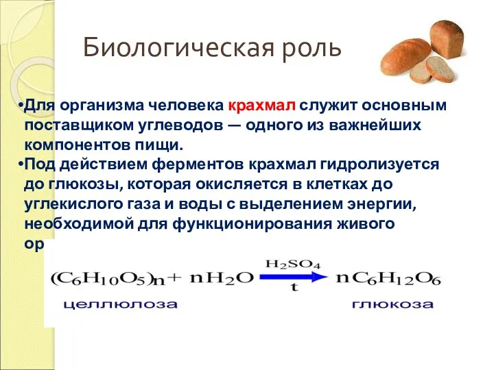 Биологическая роль Для организма человека крахмал служит основным поставщиком углеводов