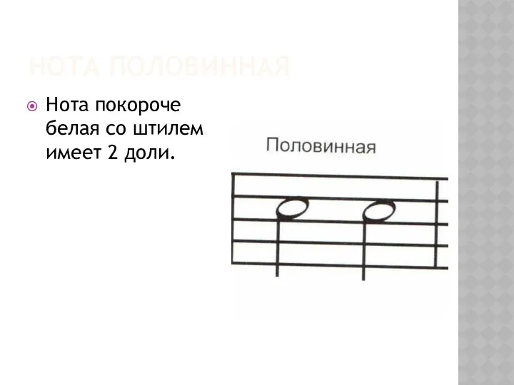 Нота половинная Нота покороче белая со штилем имеет 2 доли.