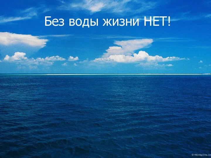 Без воды жизни НЕТ!