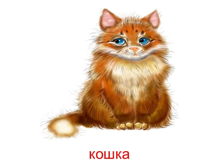 кошка