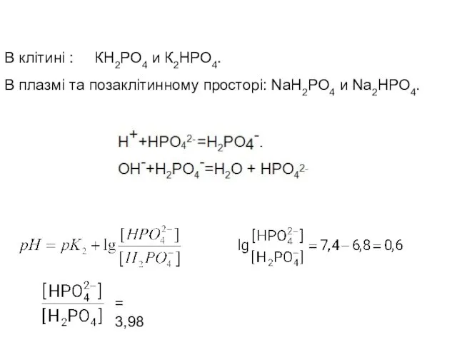 В клітині : КН2РО4 и К2НРО4. В плазмі та позаклітинному просторі: NaH2PO4 и Na2HPO4. = 3,98