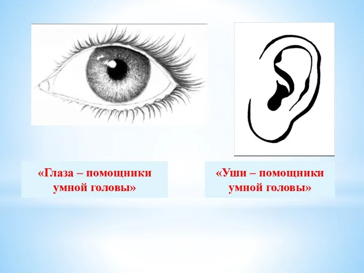 «Глаза – помощники умной головы» «Уши – помощники умной головы»