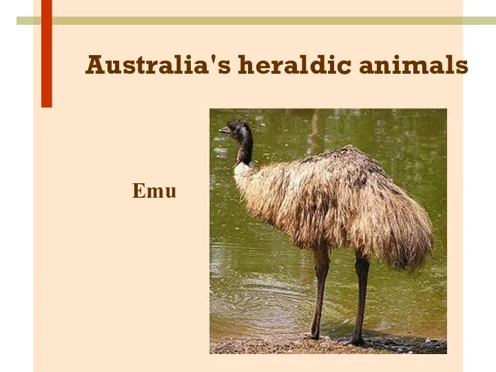 Australia's heraldic animals Emu