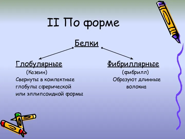 II По форме Белки Глобулярные Фибриллярные (Казеин) (фибрилл) Свернуты в компактные Образуют длинные