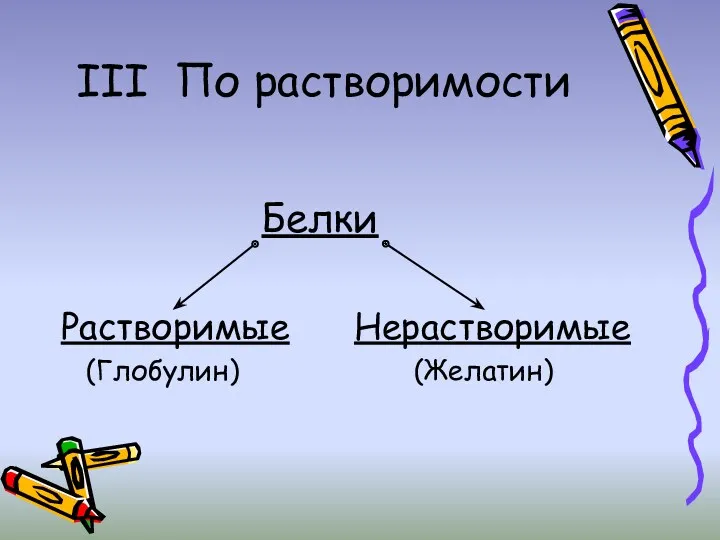 III По растворимости Белки Растворимые Нерастворимые (Глобулин) (Желатин)