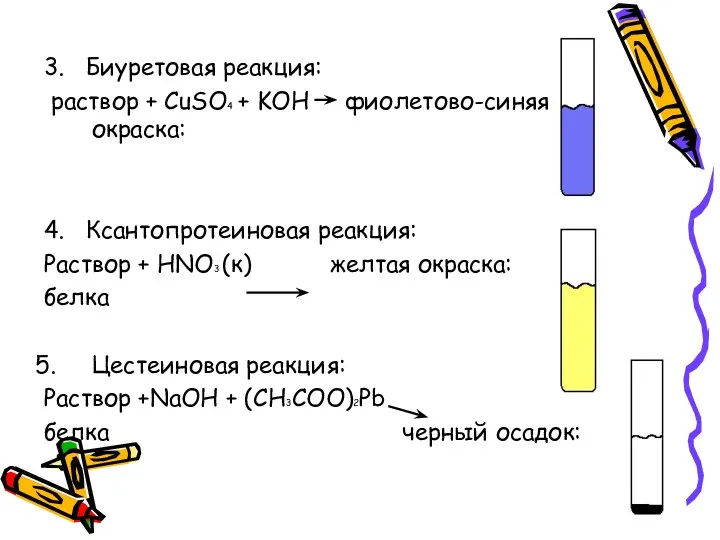 3. Биуретовая реакция: раствор + CuSO4 + KOH фиолетово-синяя окраска: 4. Ксантопротеиновая реакция: