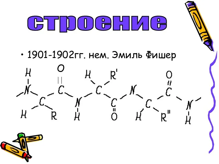 1901-1902гг. нем. Эмиль Фишер О строение