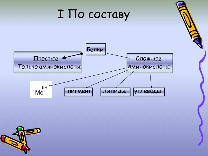 I По составу Белки Простые Сложные Только аминокислоты Аминокислоты пигмент липиды углеводы