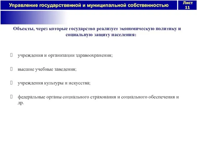 Объекты, через которые государство реализует экономическую политику и социальную защиту