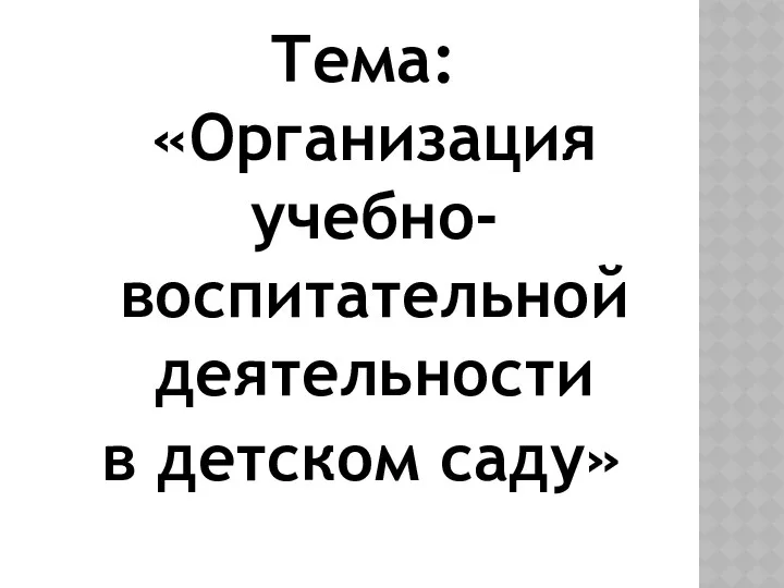 Тема: «Организация учебно-воспитательной деятельности в детском саду»