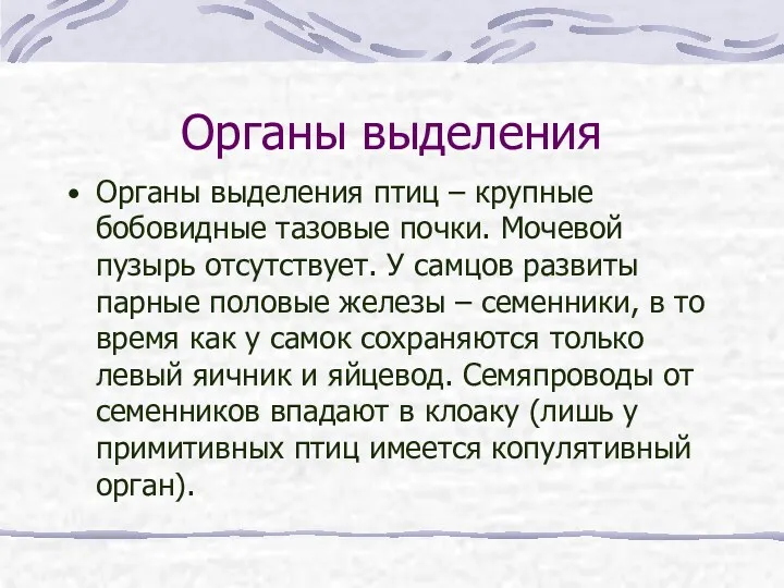 Органы выделения Органы выделения птиц – крупные бобовидные тазовые почки.