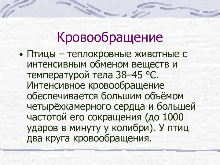 Кровообращение Птицы – теплокровные животные с интенсивным обменом веществ и температурой тела 38–45