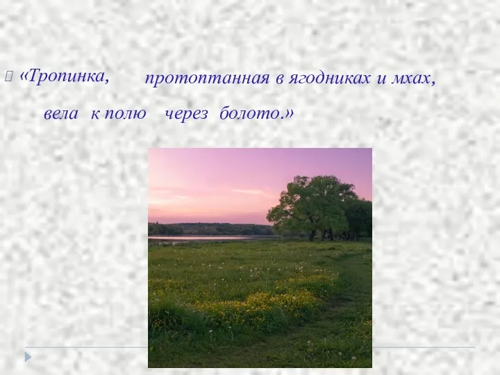 «Тропинка, протоптанная в ягодниках и мхах, вела к полю через болото.»