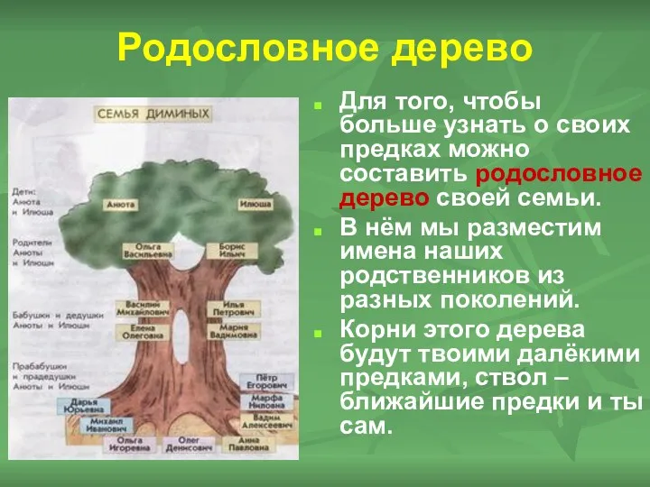 Родословное дерево Для того, чтобы больше узнать о своих предках