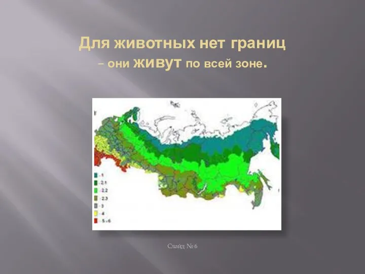 Для животных нет границ – они живут по всей зоне. Слайд № 6