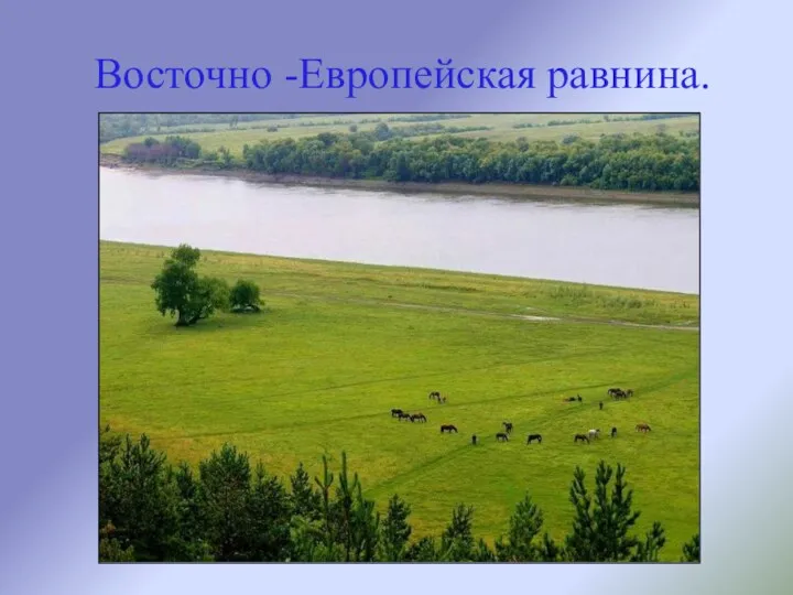 Восточно -Европейская равнина.