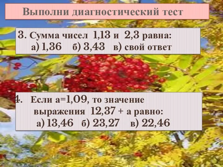 Выполни диагностический тест 3. Сумма чисел 1,13 и 2,3 равна: