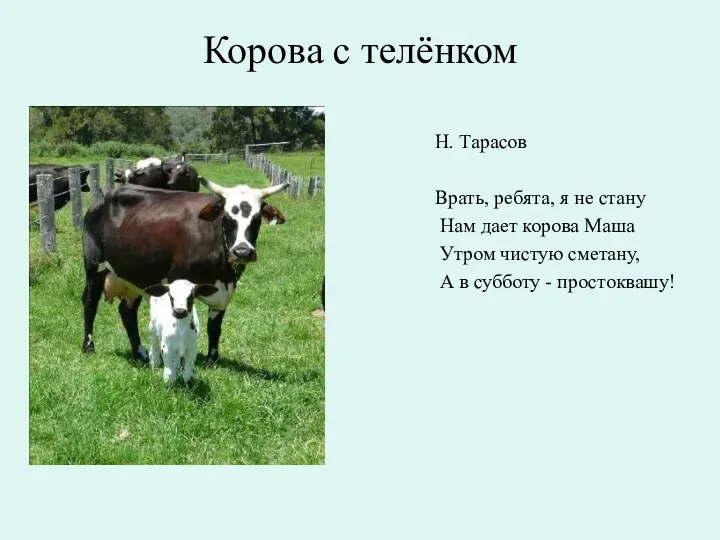 Корова с телёнком Н. Тарасов Врать, ребята, я не стану Нам дает корова