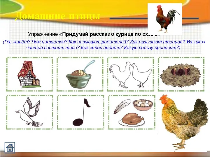 Упражнение «Придумай рассказ о курице по схеме» (Где живёт? Чем