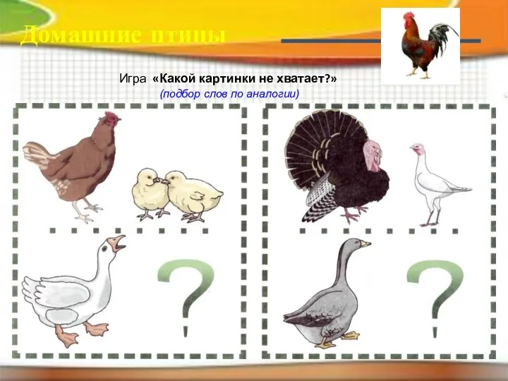 Игра «Какой картинки не хватает?» (подбор слов по аналогии) Домашние птицы