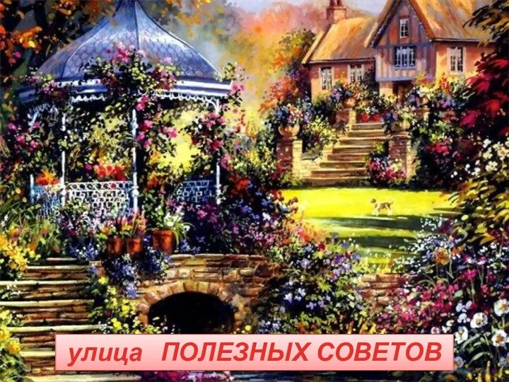 улица ПОЛЕЗНЫХ СОВЕТОВ