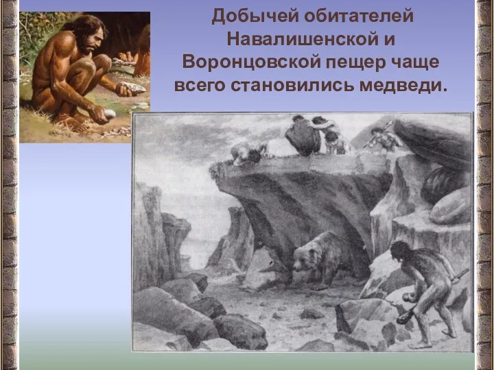 Добычей обитателей Навалишенской и Воронцовской пещер чаще всего становились медведи.