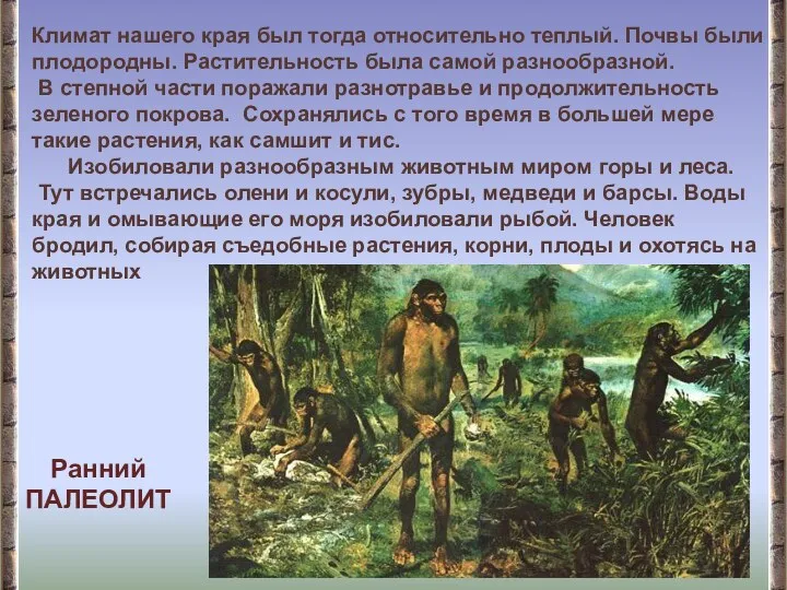 Климат нашего края был тогда относительно теплый. Почвы были плодородны. Растительность была самой