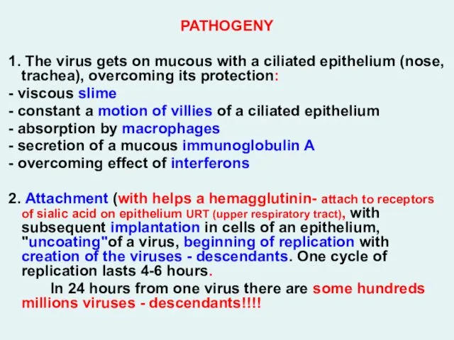 PATHOGENY 1. The virus gets on mucous with a ciliated