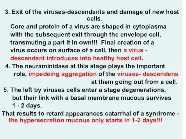 3. Exit of the viruses-descendants and damage of new host