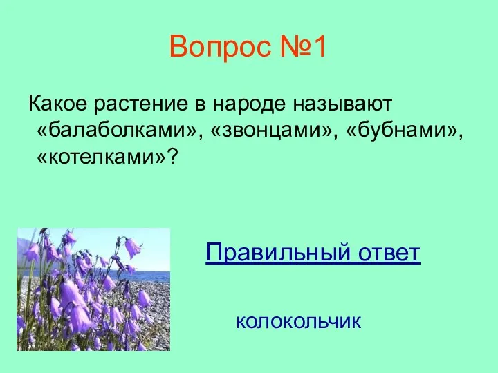 Вопрос №1 Какое растение в народе называют «балаболками», «звонцами», «бубнами», «котелками»? Правильный ответ колокольчик