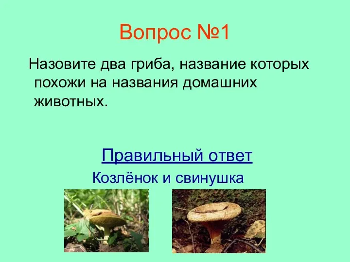 Вопрос №1 Назовите два гриба, название которых похожи на названия