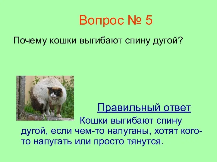 Вопрос № 5 Почему кошки выгибают спину дугой? Правильный ответ