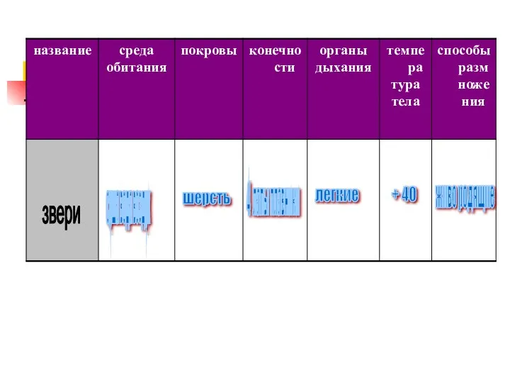 звери суша вода воздух шерсть 4 лапы плавники легкие + 40 живо родящие