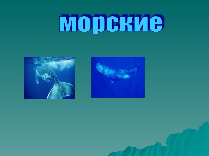 морские