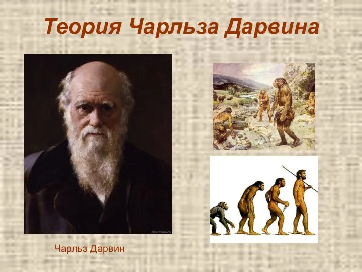Теория Чарльза Дарвина Чарльз Дарвин
