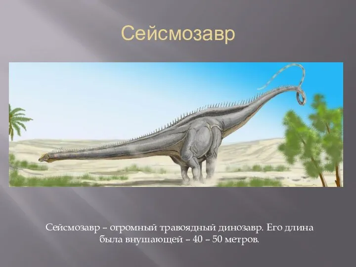 Сейсмозавр Сейсмозавр – огромный травоядный динозавр. Его длина была внушающей – 40 – 50 метров.