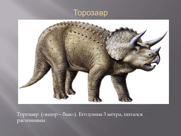 Торозавр Торозавр («ящер – бык»). Его длина 3 метра, питался растениями.