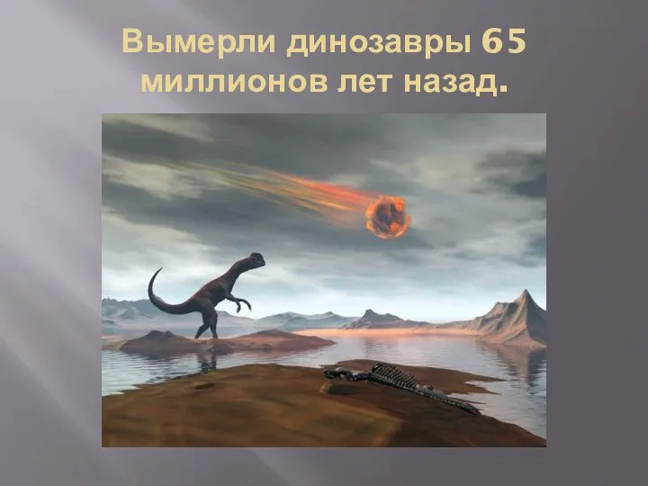 Вымерли динозавры 65 миллионов лет назад.