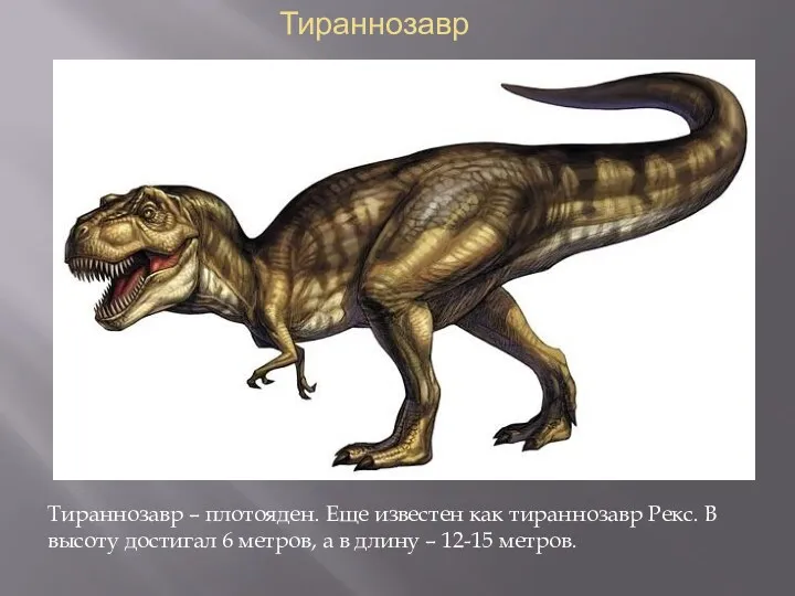 Тираннозавр Тираннозавр – плотояден. Еще известен как тираннозавр Рекс. В