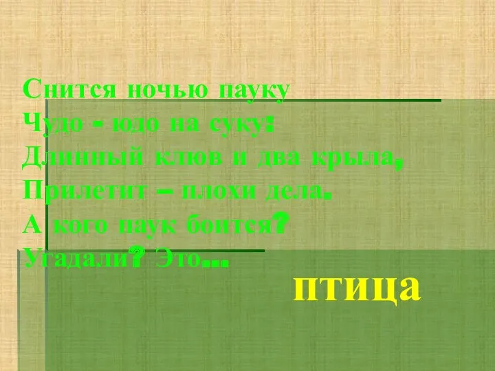 Снится ночью пауку Чудо - юдо на суку: Длинный клюв