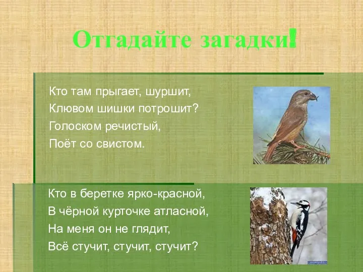 Отгадайте загадки! Кто там прыгает, шуршит, Клювом шишки потрошит? Голоском