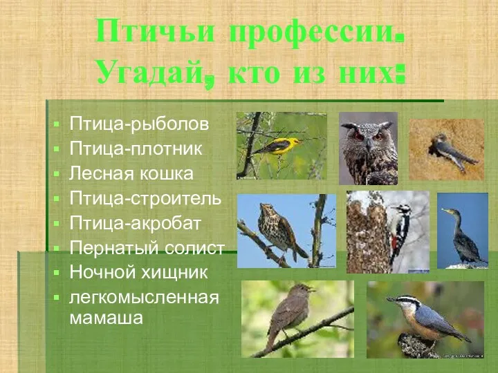 Птичьи профессии. Угадай, кто из них: Птица-рыболов Птица-плотник Лесная кошка