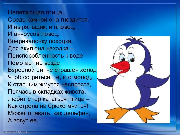 Нелетающая птица. Средь камней она гнездится. И ныряльщик, и пловец, И анчоусов ловец.