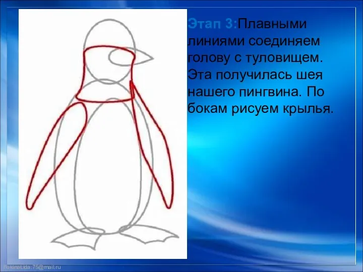 Этап 3:Плавными линиями соединяем голову с туловищем. Эта получилась шея нашего пингвина. По бокам рисуем крылья.